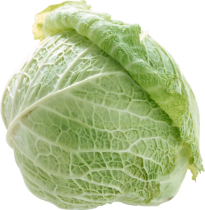 Cabbage PNG image-8783